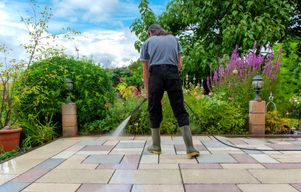 Best Winterizing Services  in Baxter, MN